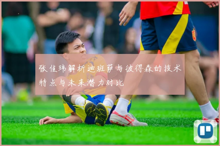 张佳玮解析迪班萨与彼得森的技术特点与未来潜力对比
