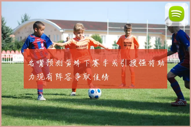 名嘴预测黄蜂下赛季或引援强将助力现有阵容争取佳绩