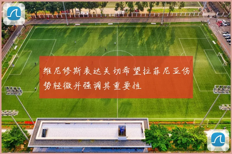 维尼修斯表达关切希望拉菲尼亚伤势轻微并强调其重要性