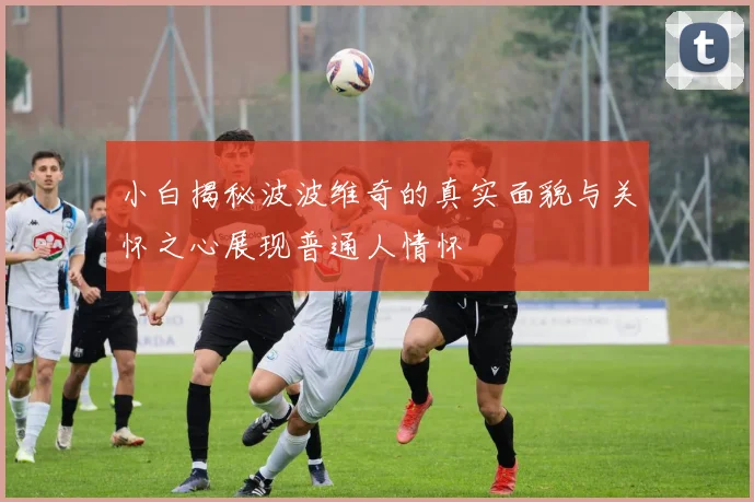 小白揭秘波波维奇的真实面貌与关怀之心展现普通人情怀