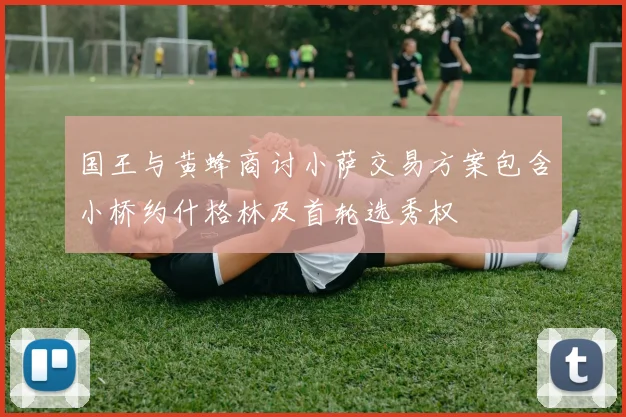 国王与黄蜂商讨小萨交易方案包含小桥约什格林及首轮选秀权