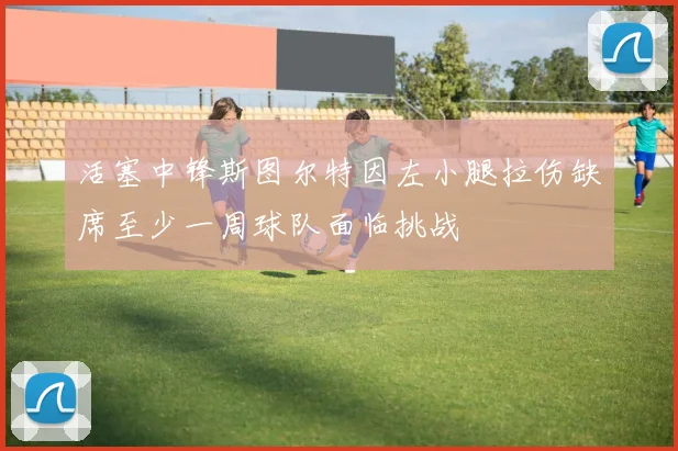 活塞中锋斯图尔特因左小腿拉伤缺席至少一周球队面临挑战