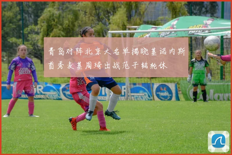 青岛对阵北京大名单揭晓基诺内斯首秀麦基周琦出战范子铭轮休